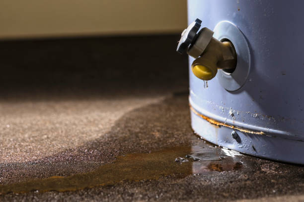 Best Water damage contractors near me  in Annapolis, MD