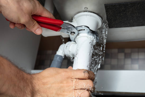 Best Flooded house restoration  in Annapolis, MD