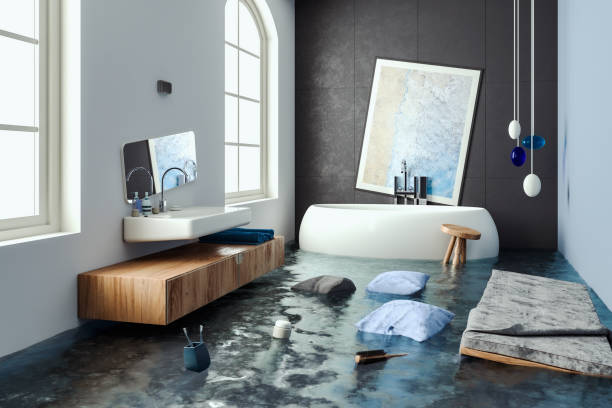Best Water damage restoration experts  in Annapolis, MD