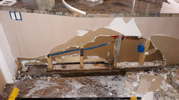 Best Water damage repair service  in Annapolis, MD