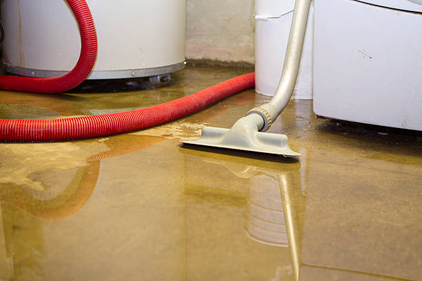 Best Water damage restoration near me  in Annapolis, MD