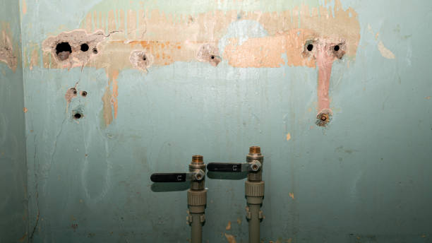Best Water damage restoration mold remediation  in Annapolis, MD