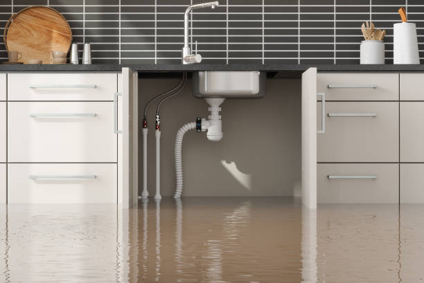 Best Water damage restoration cost  in Annapolis, MD