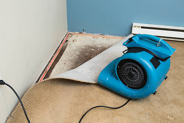 Water damage restoration experts in MD